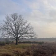 niet lekker in je vel op je werk